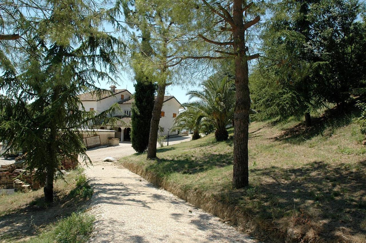 Casa Vacanze Le Palme *